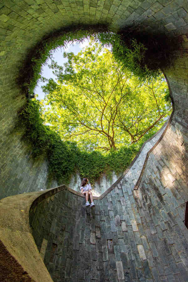 Looking skyward to tree above from large brick-lined shaft with spiral staircase - that has young woman sitting on the handrail with her legs dangling in the deep round stairwell.